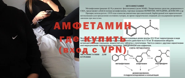 сатива Аркадак