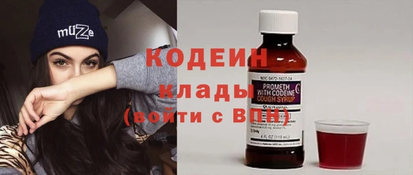 хмурый Тавда