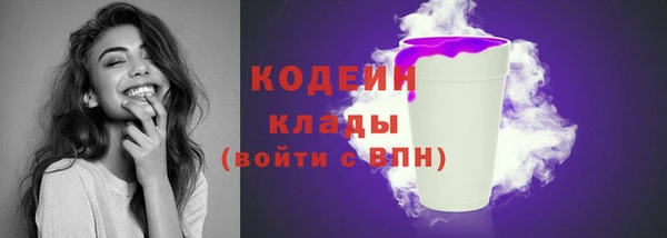 хмурый Тавда