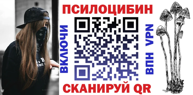 shop официальный сайт  MEGA зеркало  Псилоцибиновые грибы GOLDEN TEACHER  Нерчинск  магазин продажи наркотиков 